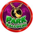 Park Balluchi logo